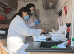 <b>食物平安办理流程是</b>